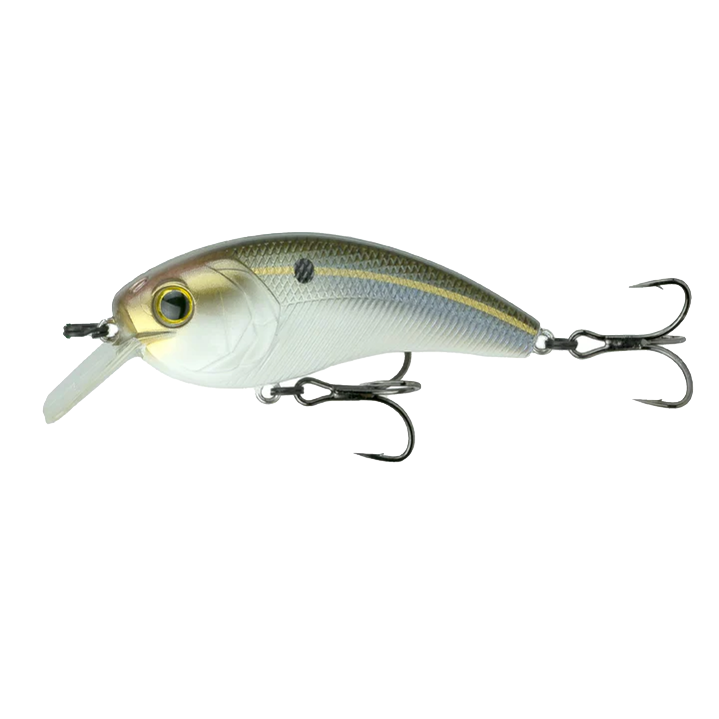 MOVEMENT L7 - THREADFIN SHAD