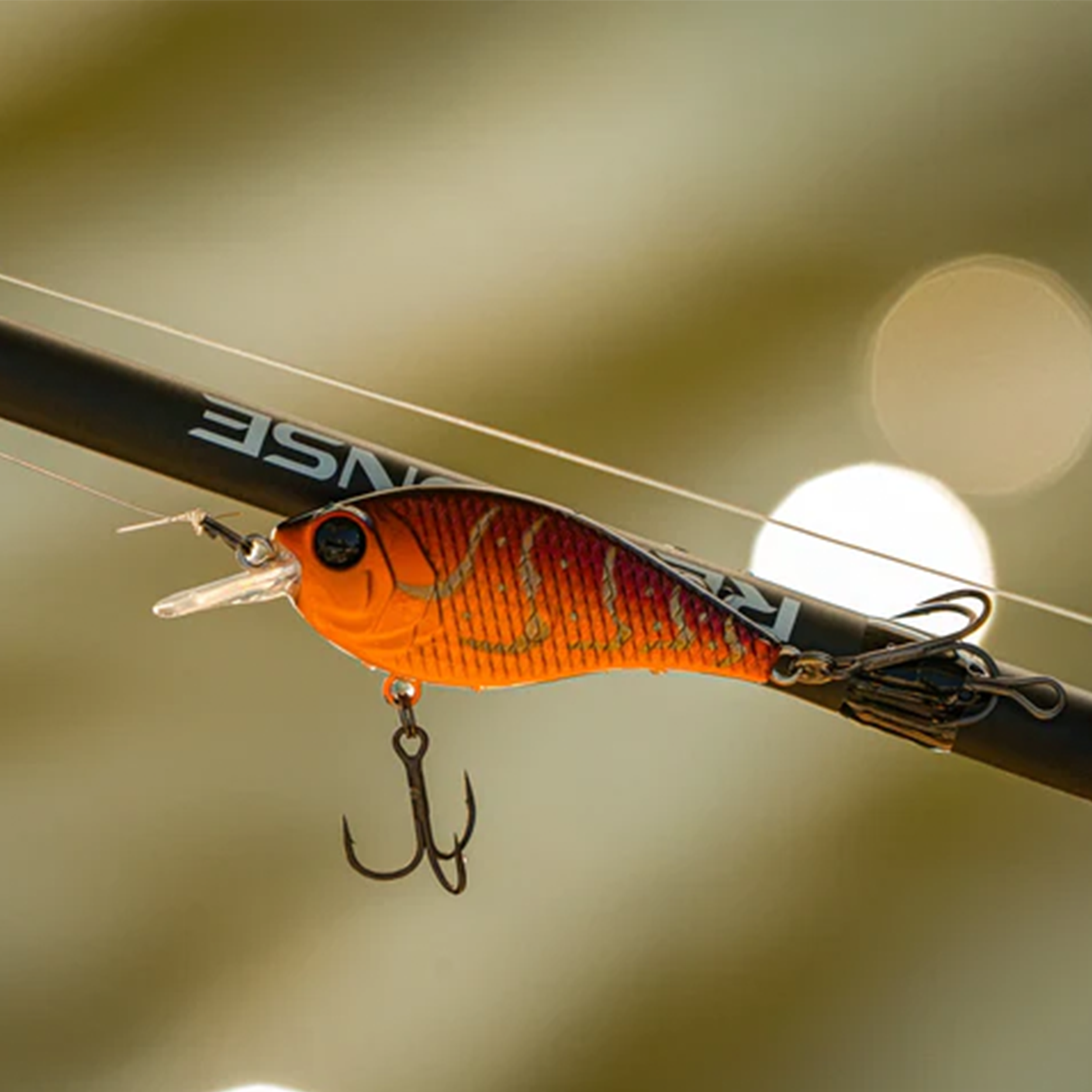 PRESSURE SERIES - WILD LAVA CRAW PD10