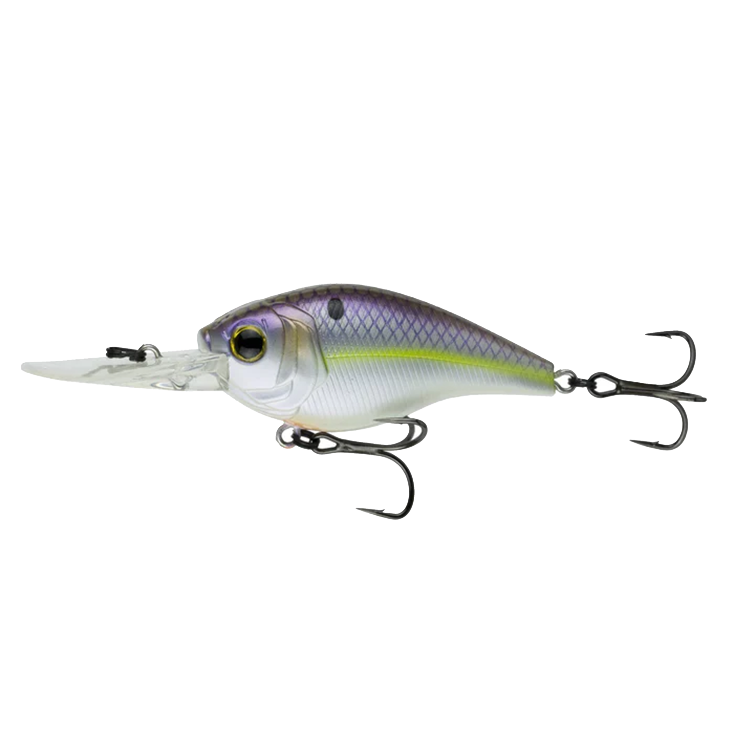 CLOUD 9 - WILD SHAD C15