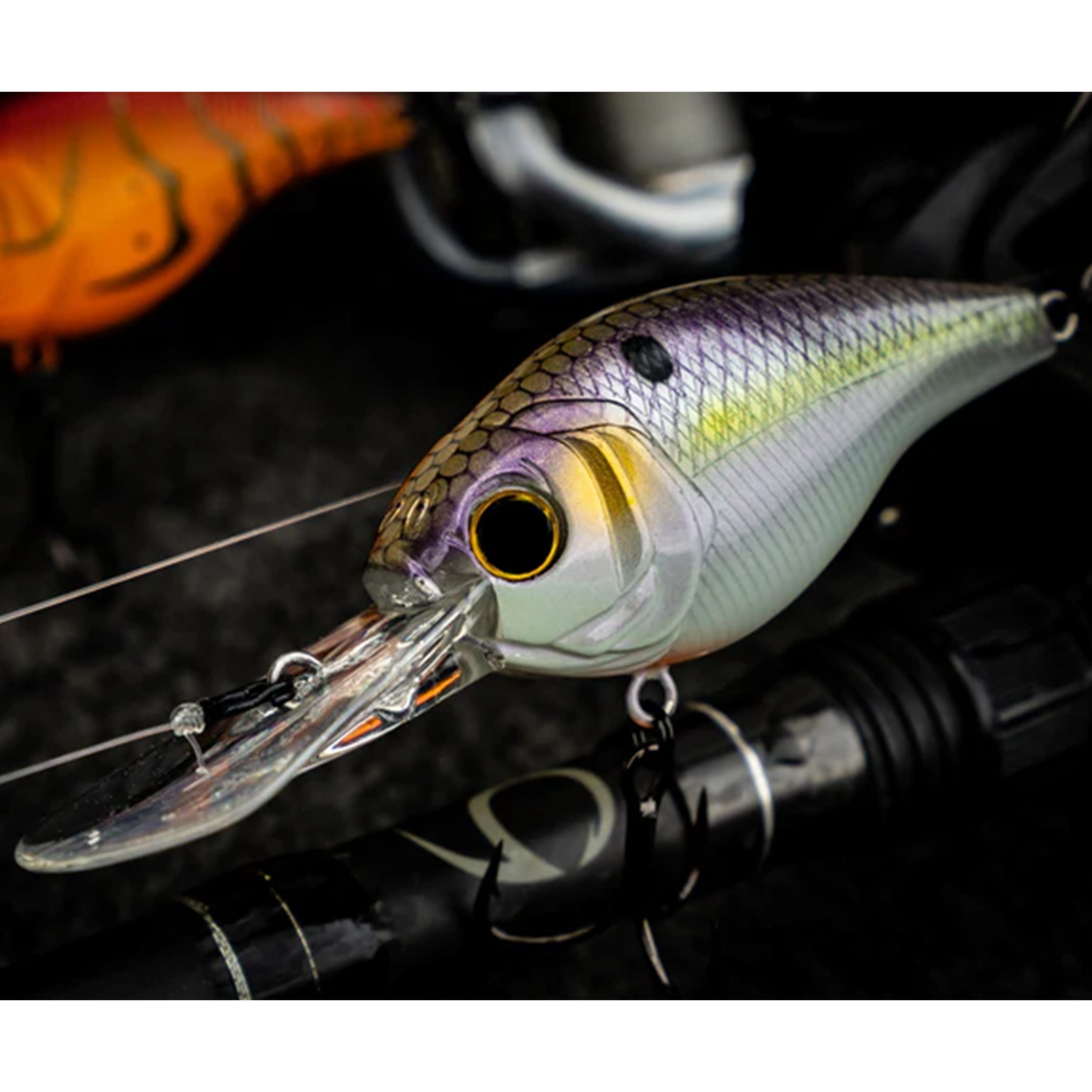 CLOUD 9 - WILD SHAD C15