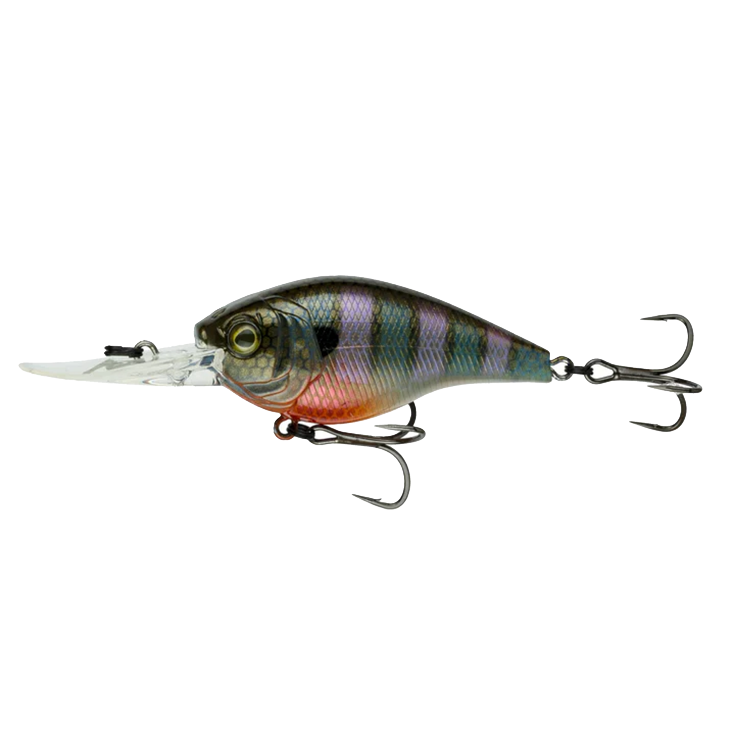 CLOUD 9 - BLUEGILL SPAWN