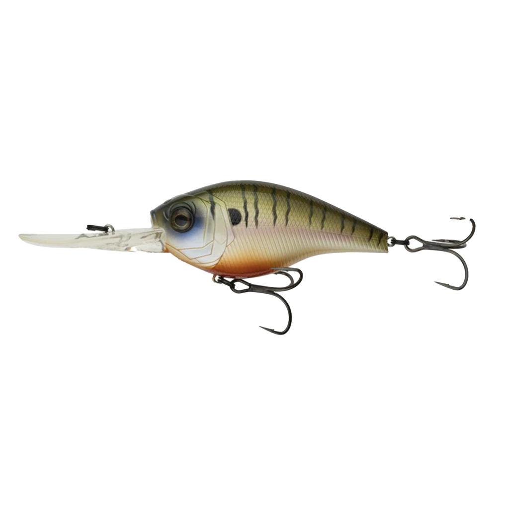 Untitled-451.png?v=1721147182&