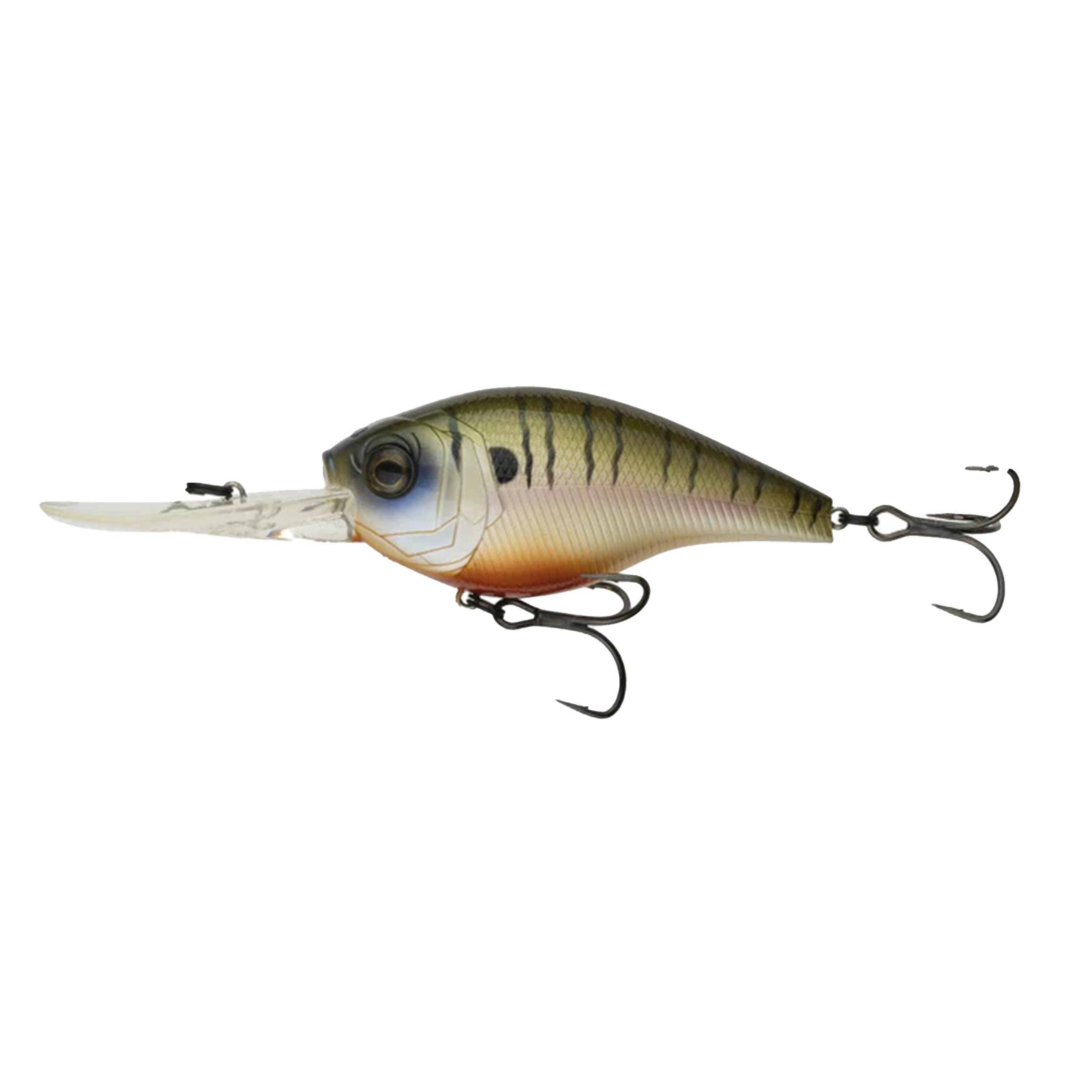 CLOUD 9 - 4K BLUEGILL C15