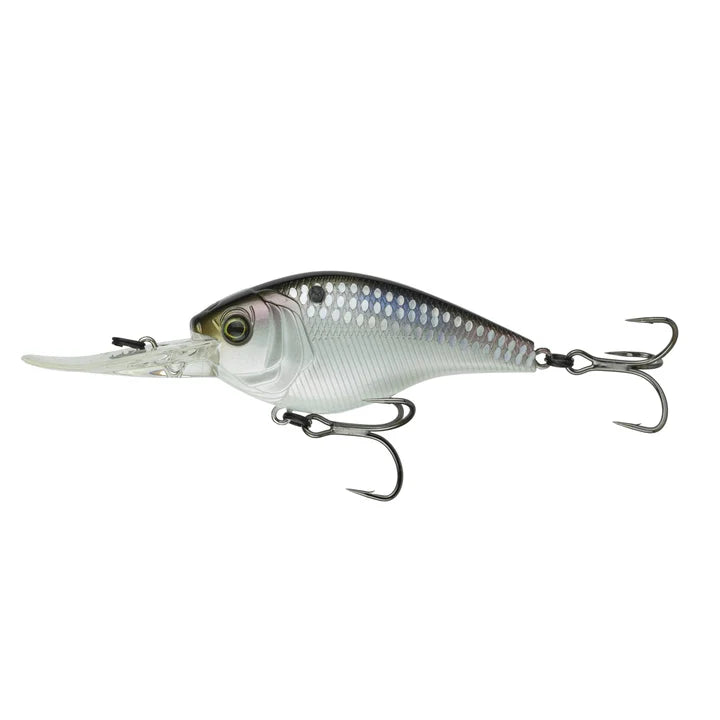 CLOUD 9 - SHAD SCALES C15